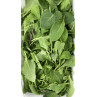 Mesclun