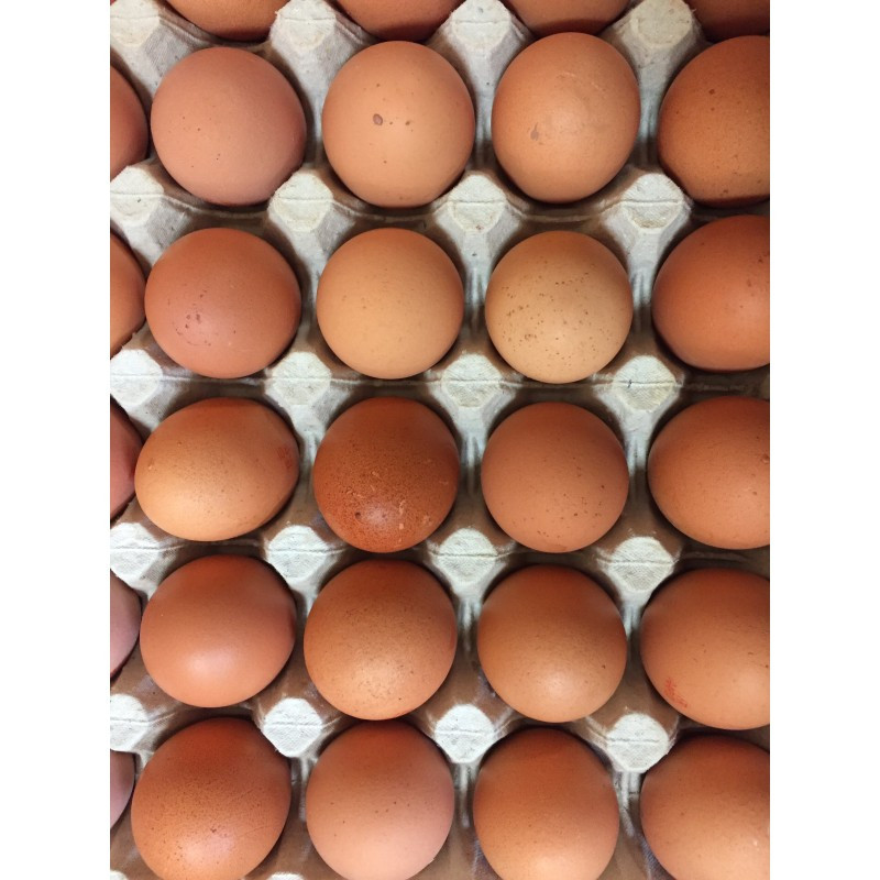 Oeufs x 30