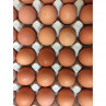 Oeufs x 30