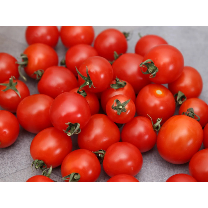 Tomate cerise