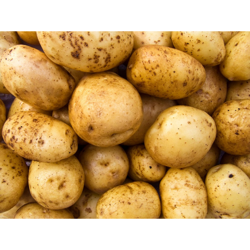 Pomme de Terre
