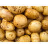 Pomme de Terre
