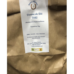 Farine de Blé T 110