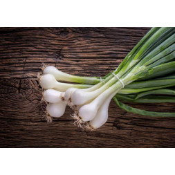 Oignons blancs