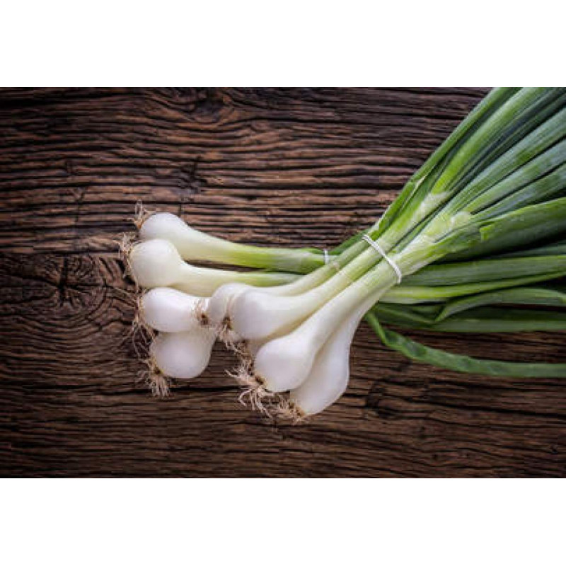 Oignons blancs