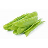 Pois Mangetout