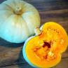 Courge Potiron Bleu de Hongrie