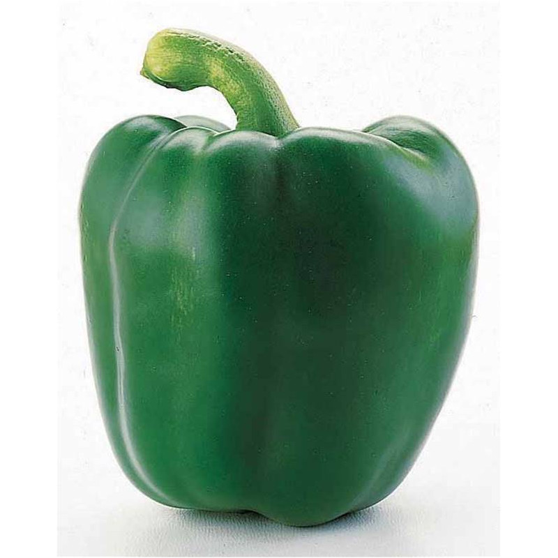 Poivron
