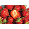 Fraise