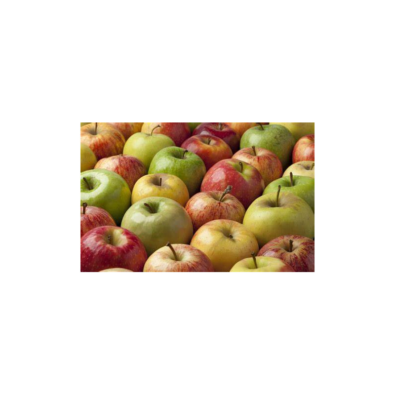 Pomme