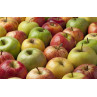 Pomme