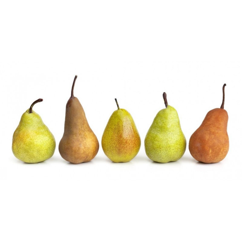 Poire