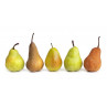 Poire