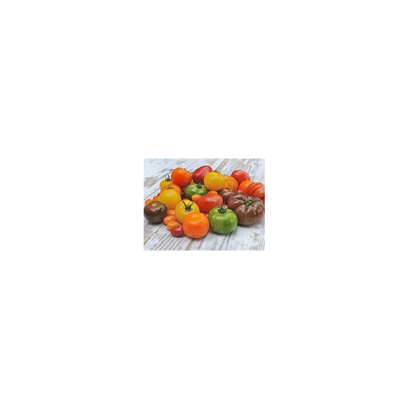 Tomates