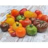 Tomates