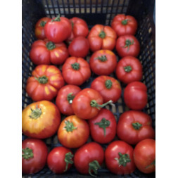 Panier Coulis de Tomates