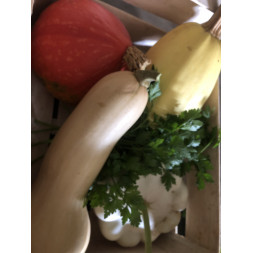 Panier "découverte courges"