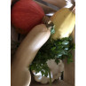 Panier "découverte courges"