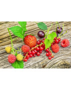 Fruits