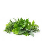 Plantes aromatiques et médicinales